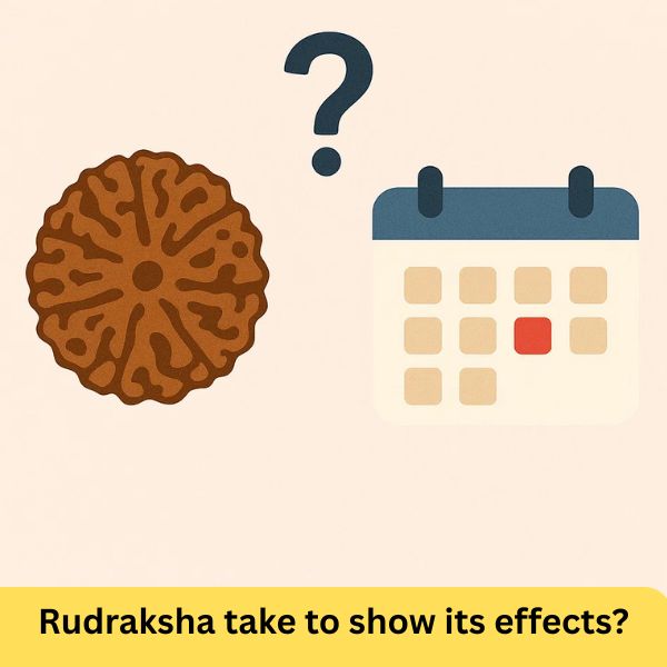 Rudraksha take to show its effects?